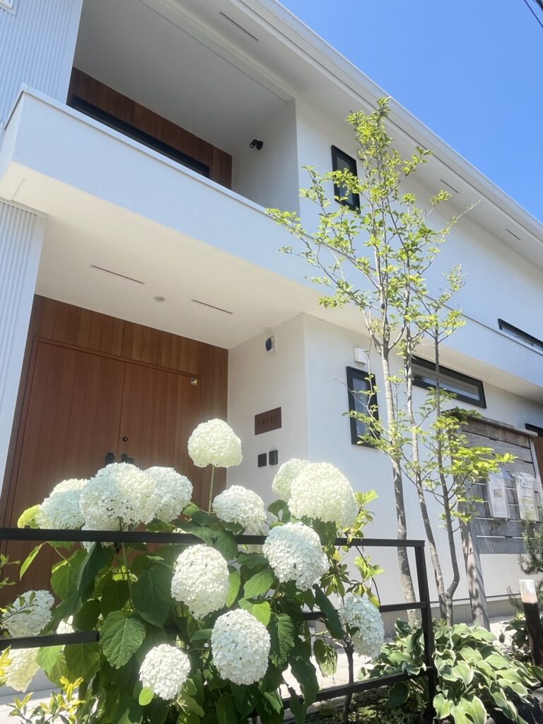 木目の玄関ドアと白い外壁に映える紫陽花