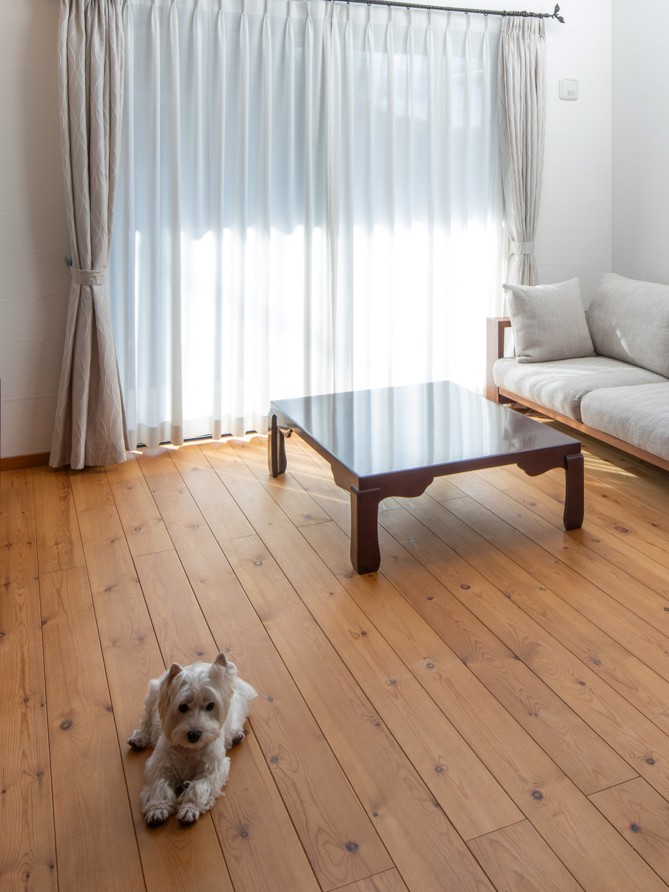 ペットにもやさしい自然素材の家